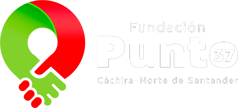 Fundación Punto 37